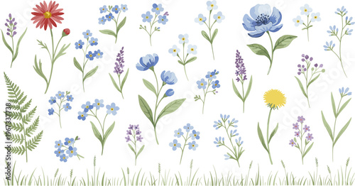 Collection of illustrated wildflowers and plants, colorful botanical drawings, daisies, dandelions, lavender sprigs, forget-me-nots, ferns, grass blades, decorative floral patterns