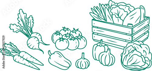 Vegetable crate set, outline sketch, hand drawn crates filled with vegetables, fresh produce, leaves, vector illustration isolated