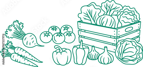 Vegetable crate set, outline doodle collection, crates of vegetables, fresh produce, hand drawn vector illustration isolated