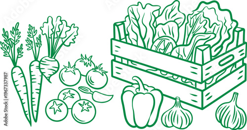 Vegetable crate set, outline sketch, hand drawn crates filled with vegetables, fresh produce, leaves, vector illustration isolated