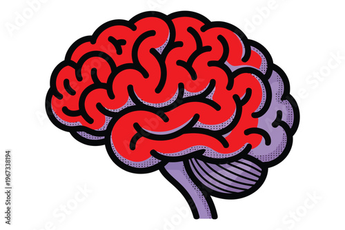 Stylized human brain illustration with vibrant red cerebrum and purple cerebellum, abstract neurological concept graphic