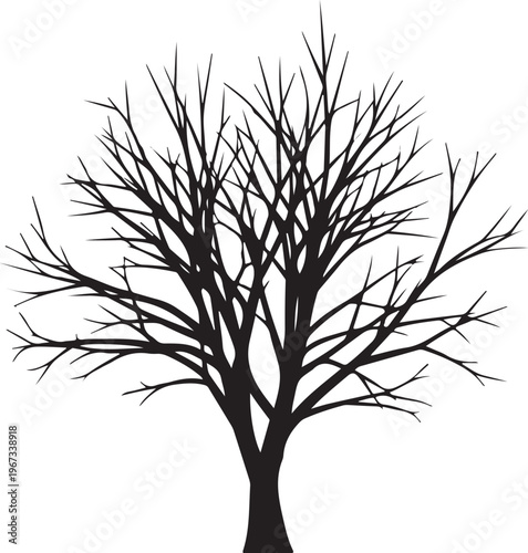 Black silhouette of a bare tree branches white background 1