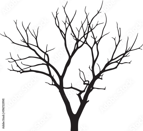 Black silhouette of a bare tree white background branches