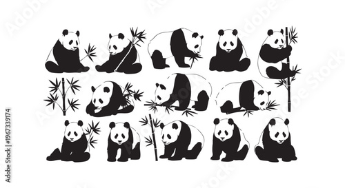 Adorable panda illustrations with bamboo plants isolated on transparent background