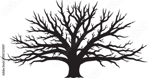 Black silhouette of a bare tree white background