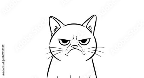 A black and white line drawing of a grumpy cat with furrowed brows and a downturned mouth, conveying a strong sense of displeasure.