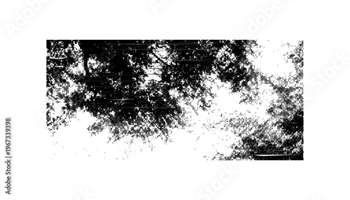 A black and white abstract illustration of tree leaves and sunlight
