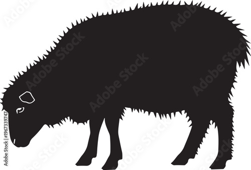 Black silhouette of a bison with shaggy fur animal