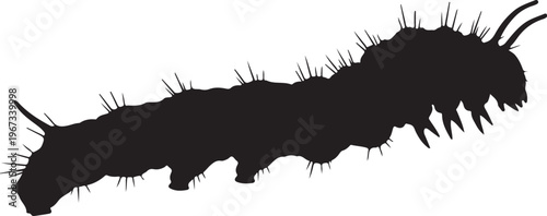 Black silhouette of a caterpillar with spines insect
