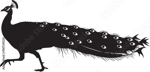 Black silhouette of a peacock with spread tail feathers