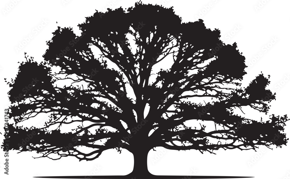 Obraz premium Black silhouette of a tree with sprawling branches and leaves