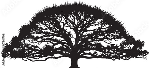 Black silhouette of a tree with many branches and a grassy
