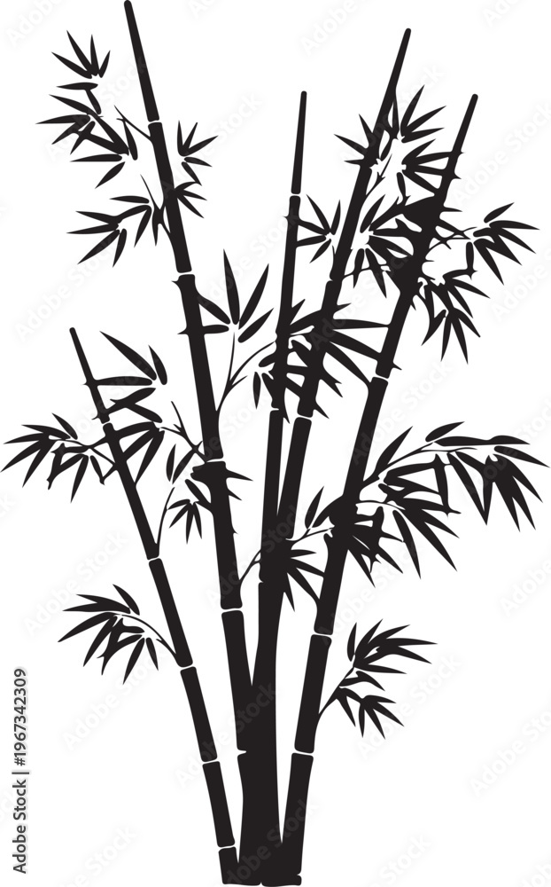 Fototapeta premium Black silhouette of bamboo stalks with leaves white background