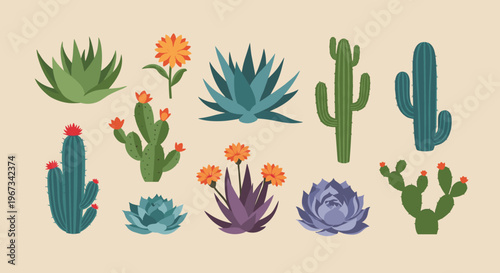 Vibrant illustration of various desert plants and succulents on a neutral background
