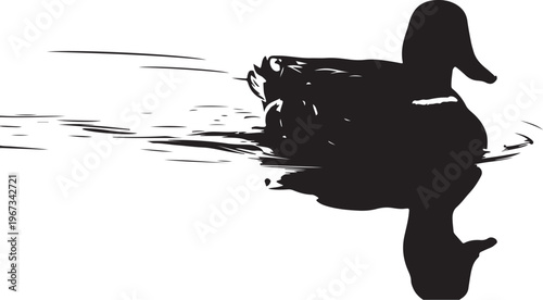 Black silhouette of dog swimming through water white background