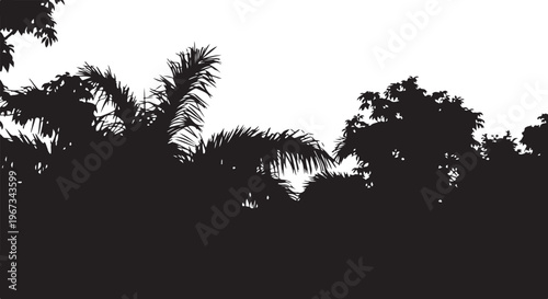 Black silhouette of palm trees and other tropical plants against white background