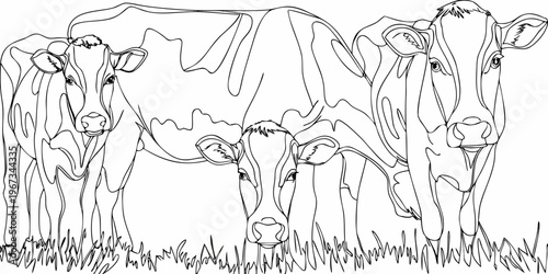 A group of cows rendered as a black and white line art illustration