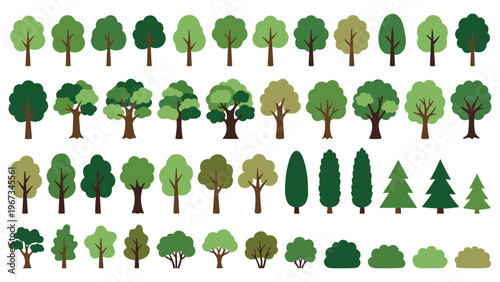 Collection of various trees and bushes vector illustration.