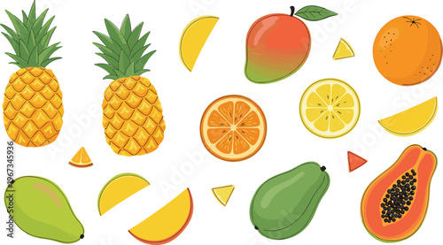 Tropical fruits set pineapple mango papaya orange lemon slices fresh juicy summer food vector illustration