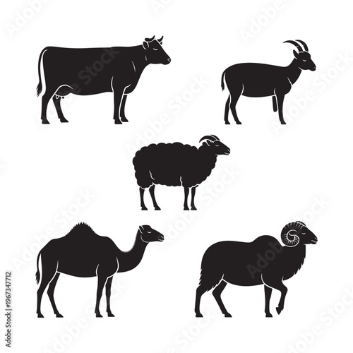 Silhouette depictions of a cow sheep camel ibex and ram animals