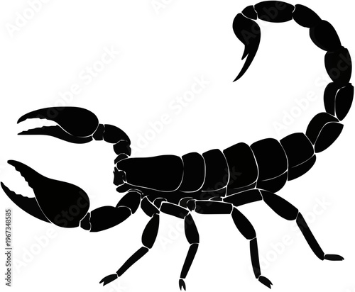 Scorpion Silhouette – Flat Vector Plotter Cut File