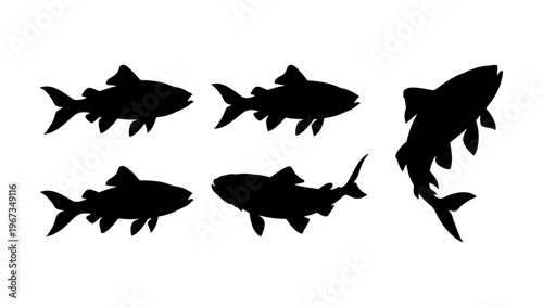 Black fish silhouettes collection, set of 5 trout and salmon vector shapes, isolated aquatic animal icons for fishing and nature design