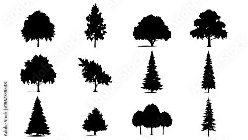 Black tree silhouettes collection, set of 12 forest and garden tree vector icons, deciduous and coniferous plant shapes for landscape design