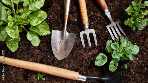 Gardening Tools on Soil With Young Plants Ready to Grow