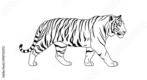 Black and white silhouette showing the powerful gait of a tiger walking from left to right against a clean white background.