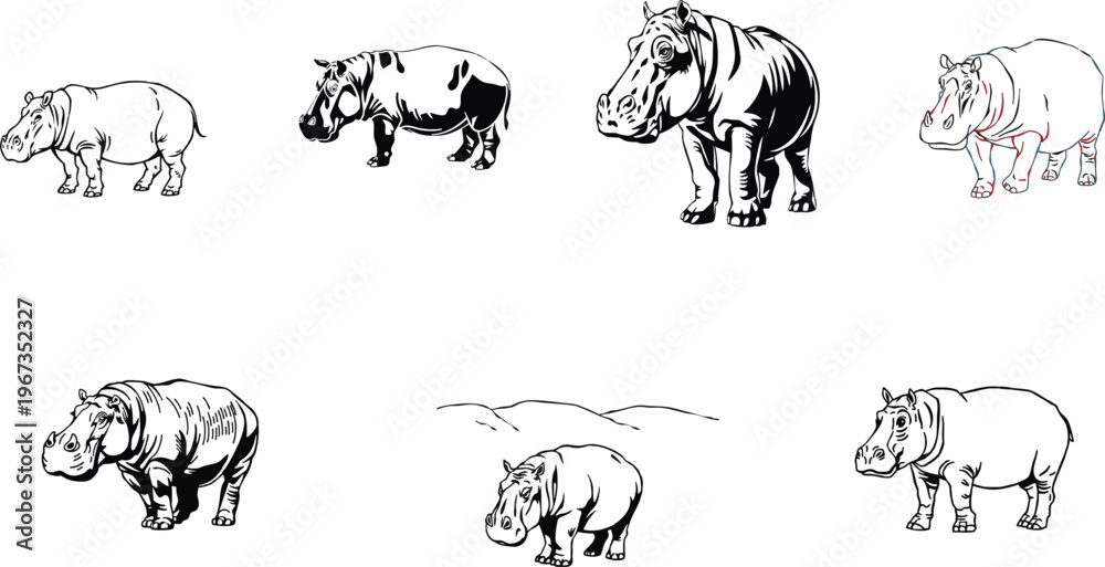 Fototapeta premium Hippo Standing Line Art Illustration, Detailed Hippopotamus Outline in Clean Stroke Style on White Background