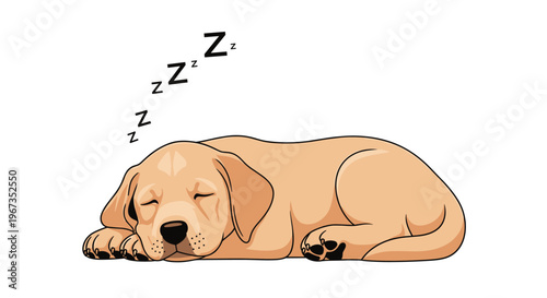 Sleeping yellow labrador retriever puppy lying down with eyes closed and snoring symbols above its head in cartoon style.