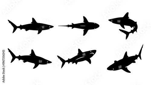 Shark silhouette collection, set of 6 predatory fish vector icons. Black shark shapes for marine life design, aquatic predator graphics for ocean conservation.