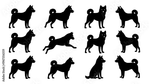 Shiba Inu dog silhouettes set, 12 vector animal elements in various poses, black husky and akita canine shapes for pet branding and logo design