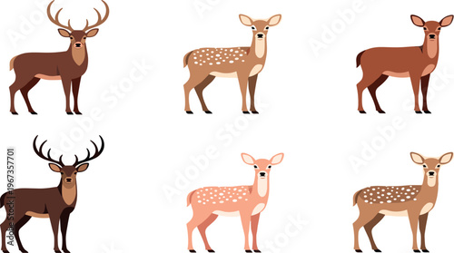 Vector Illustration of Male and Female Deer (Fallow Deer), with Antlers, Perfect for Wildlife, Nature Themes, and Educational Designs.