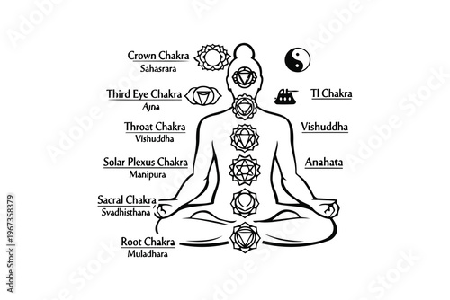 Illustration of the seven main chakras in the human body aligned with their Sanskrit names Vector