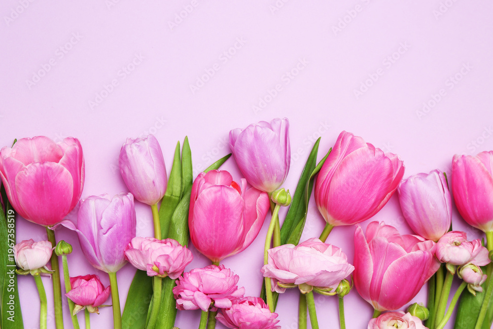 Fototapeta premium Beautiful spring flowers on violet background, flat lay. Space for text