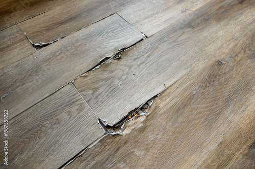 buckled laminate floor with torn planks and visible crack caused by heated floor expansion. closeup of damaged floor covering with lifted edges