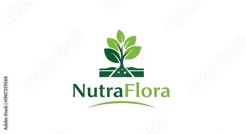 A green plant with roots in segmented soil representing growth.