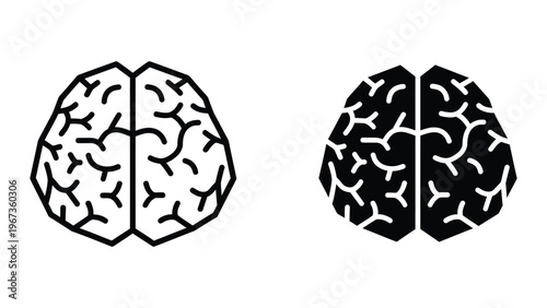 Contrasting visual representations of the human brain hemispheres with different color schemes