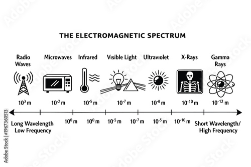 Illustration of the electromagnetic spectrum with wavelengths and frequency ranges Vector