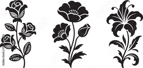 Elegant black and white botanical illustrations of three distinct flowers