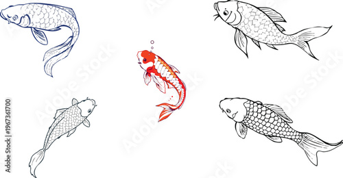 Koi Fish Swimming Outline Icon in Clean Stroke Style with White Background for Nature, Aquarium, and Modern User Interface Design