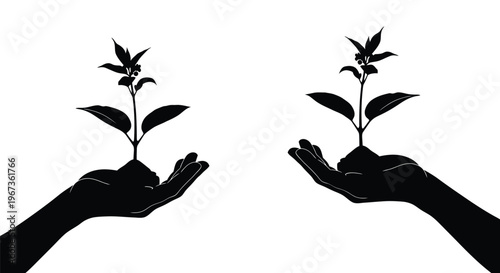 Hands cradling seedlings representing growth and care silhouette