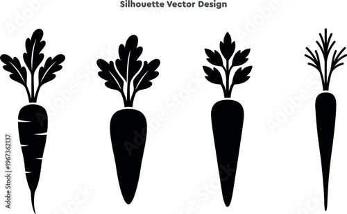 Silhouette set of fresh carrots with leafy greens for healthy eating. Vector set of organic garden vegetables. Nutritious harvest produce and autumn crop farm vector illustration.