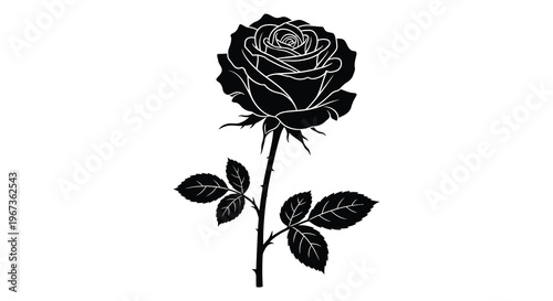 A striking black rose with detailed petals and a thorny stem is presented in a bold silhouette high quality professional modern
