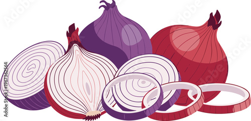 Colorful illustration of sliced and whole onions in purple and red on white background for food and cooking concepts