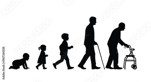 Life stages depicted in a black silhouette progression