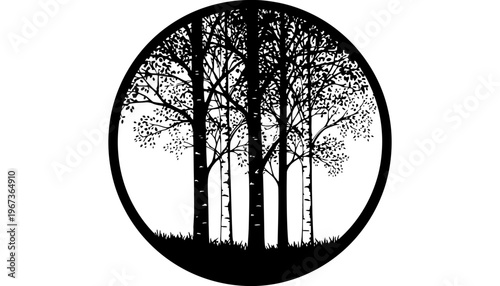 Tree silhouette illustration of four birch trees in a circle