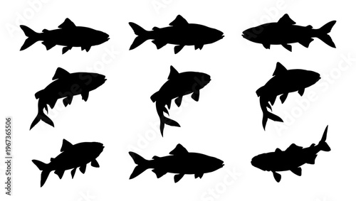 Black fish silhouette collection, set of 9 freshwater fish icons in various swimming poses, aquatic animal vector elements for fishing and nature design