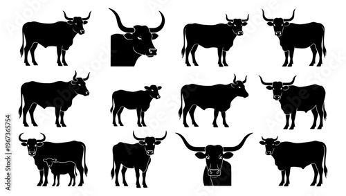 Black bull silhouettes and cattle vector icons, set of 12 longhorn steer and cow illustrations, rustic farm animal graphics for ranch branding